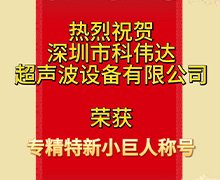 大香蕉黄色片：榮獲深圳市第五批專精特新“小巨人”企業榮譽稱號